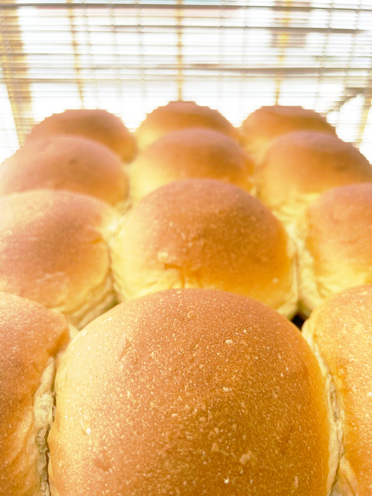 Wholesale Brioche XL Burger Buns 6pcs Manila