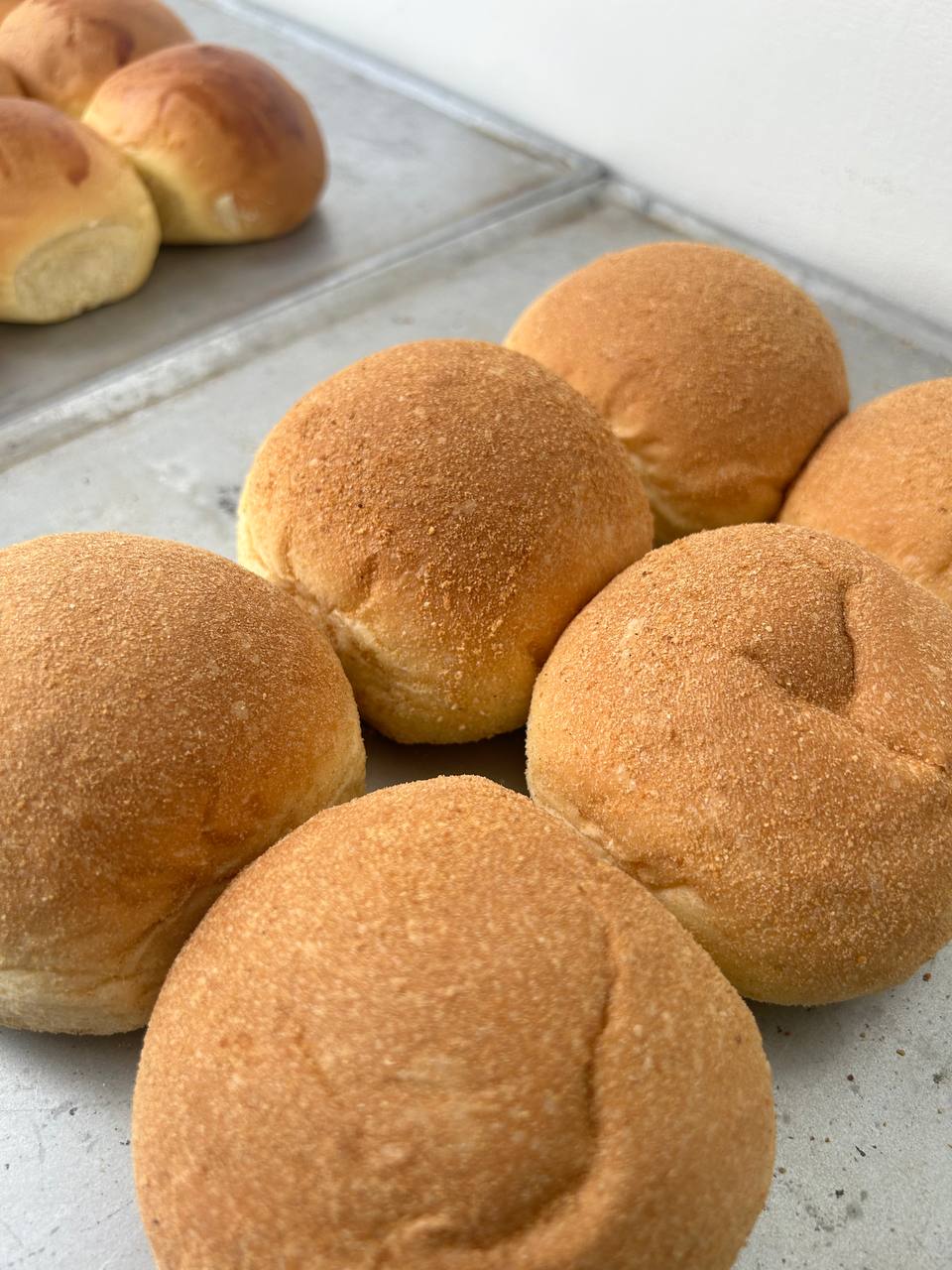 Wholesale Pandesal Burger Buns Manila